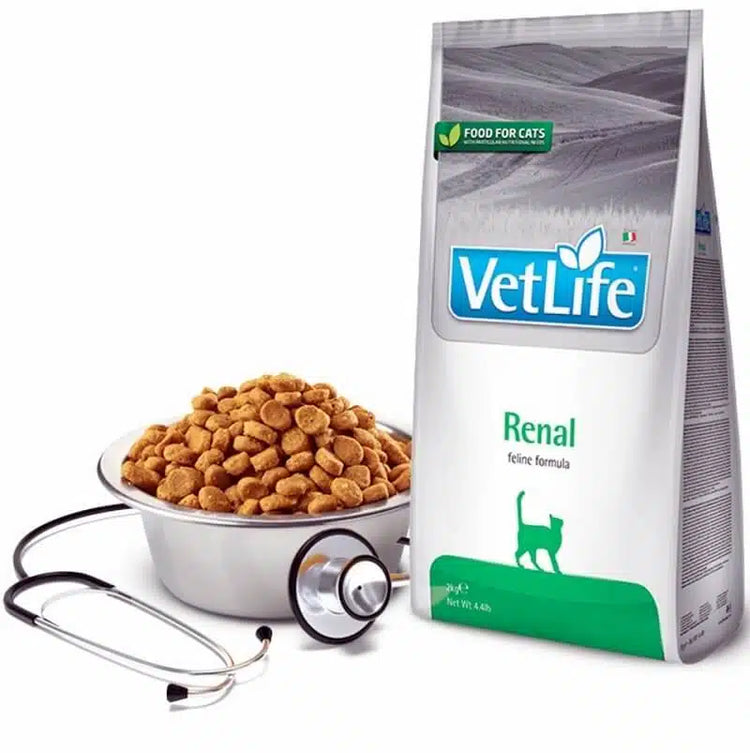 Vet-Prescribed Cat Food