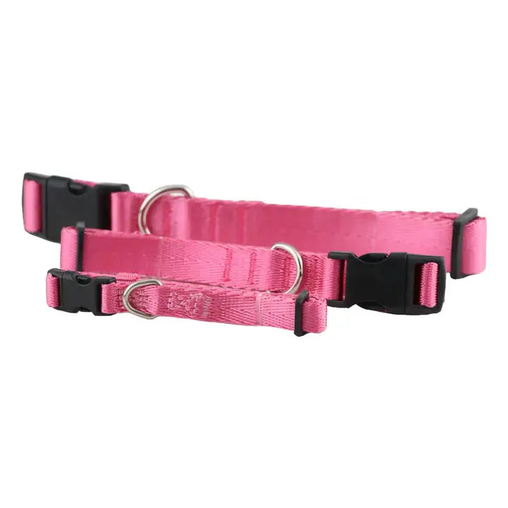 Collars for Dogs & Cats : Durable, Comfortable & Stylish Petspalz