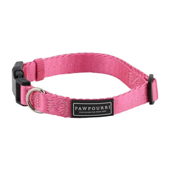 Collars for Dogs & Cats : Durable, Comfortable & Stylish Petspalz