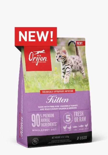 ORIJEN Kitten Food – High Protein, Grain-Free Diet | Growing Kittens Petspalz