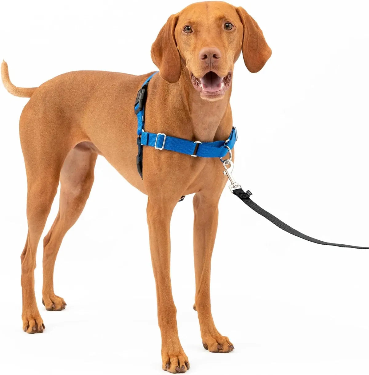 Premium No-Pull Dog Harness with Leash | Adjustable & Comfortable Petspalz