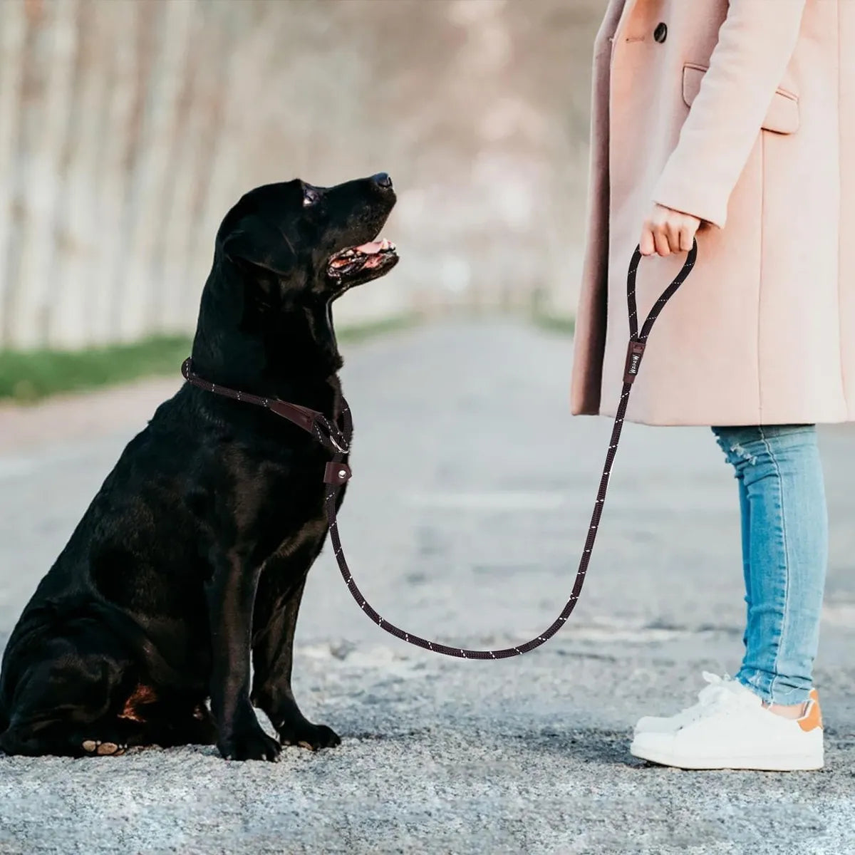 Reflective Dog Leash – Anti-Choking Rope Lead with Padded Handles Petspalz