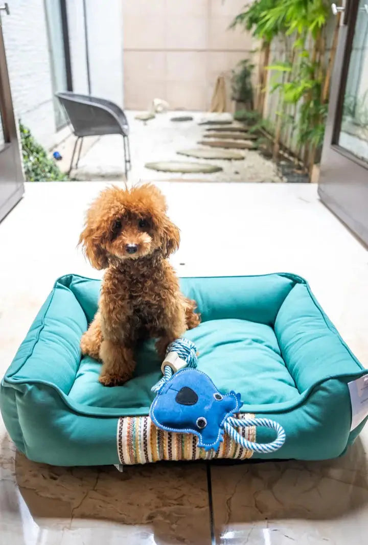Premium Quality Teal Lounger Stylish Pet Bed For dogs and Cats Petspalz