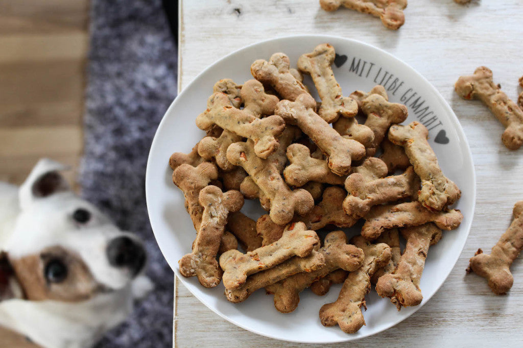 Healthy dog biscuits and treats in India