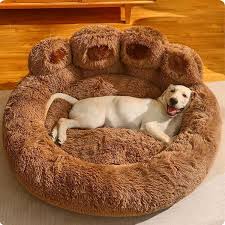 Dog Beds