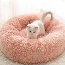 Cat Beds