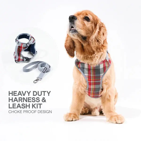 Heavy-duty harness kit for maximum comfort and zero choking - Petspalz