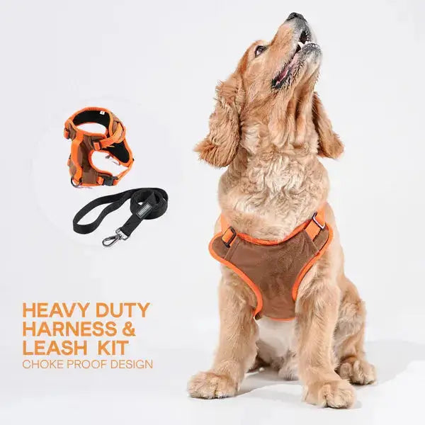 Heavy-duty harness kit for maximum comfort and zero choking - Petspalz