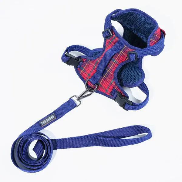 Heavy-duty harness kit for maximum comfort and zero choking - Petspalz