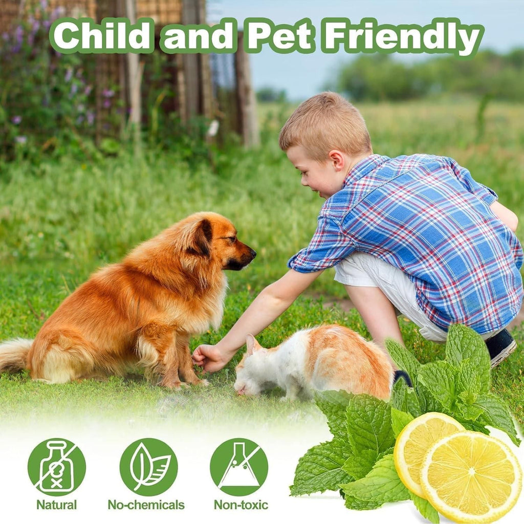  Cat Repellent | Humane Indoor & Outdoor Cat Deterrent | Petspalz e31d79-4