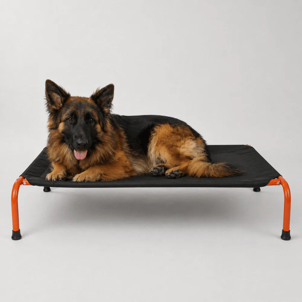 Chew-Resistant Heavy-Duty Elevated Dog Bed | Raised Cooling Bed