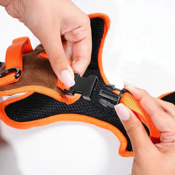 Heavy-duty harness kit for maximum comfort and zero choking - Petspalz