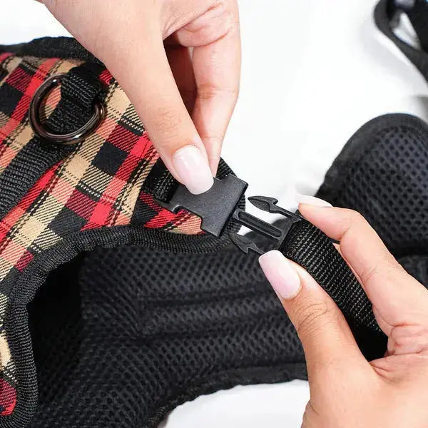 Heavy-duty harness kit for maximum comfort and zero choking - Petspalz