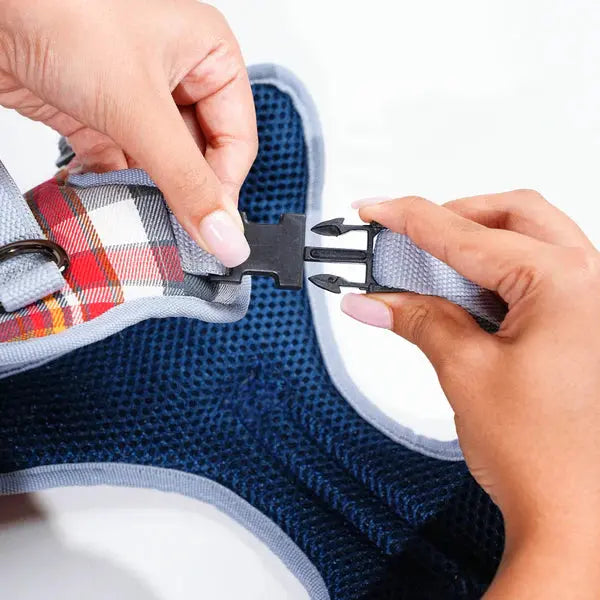 Heavy-duty harness kit for maximum comfort and zero choking - Petspalz