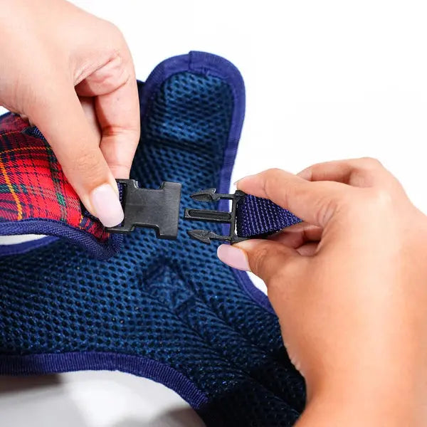 Heavy-duty harness kit for maximum comfort and zero choking - Petspalz