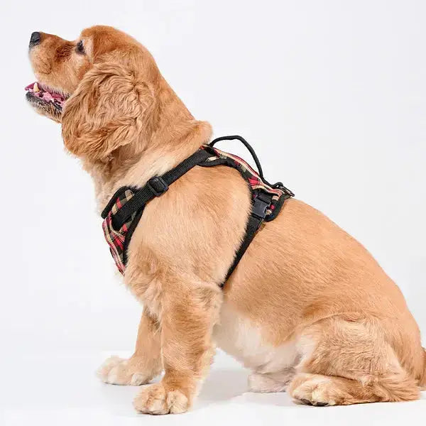 Heavy-duty harness kit for maximum comfort and zero choking - Petspalz