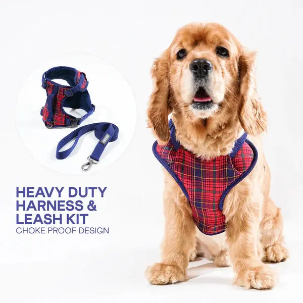 Heavy-duty harness kit for maximum comfort and zero choking - Petspalz