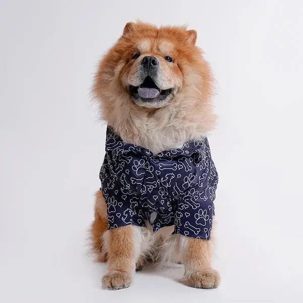 Chow Chow dog wearing navy printed shirt with white paw and bone patterns from the latest collection of printed shirts for dogs. Stylish pet apparel for fashionable dogs.