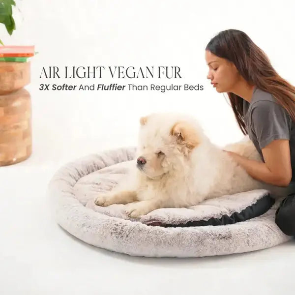  2-in-1 Temperature-Regulating Dog Bed Petspalz  Petspalz