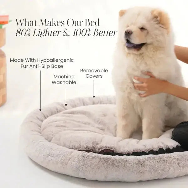  2-in-1 Temperature-Regulating Dog Bed Petspalz  Petspalz