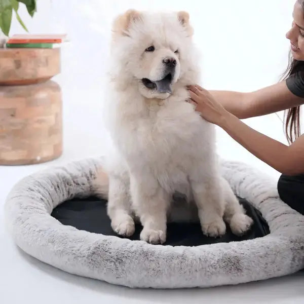  2-in-1 Temperature-Regulating Dog Bed Petspalz  Petspalz