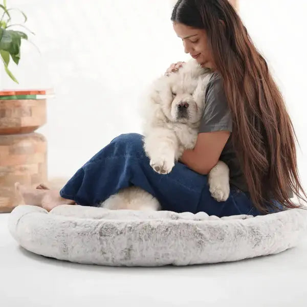  2-in-1 Temperature-Regulating Dog Bed Petspalz  Petspalz