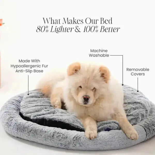 2-in-1 Temperature-Regulating Dog Bed Petspalz  Petspalz