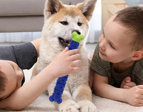 2 in 1 silicone chew toy dental stick for dogs – Petspalz