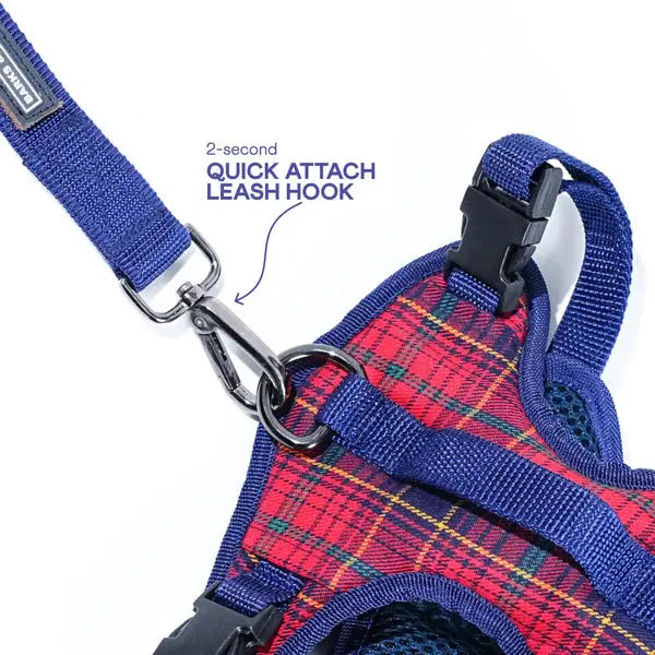 Heavy-duty harness kit for maximum comfort and zero choking - Petspalz