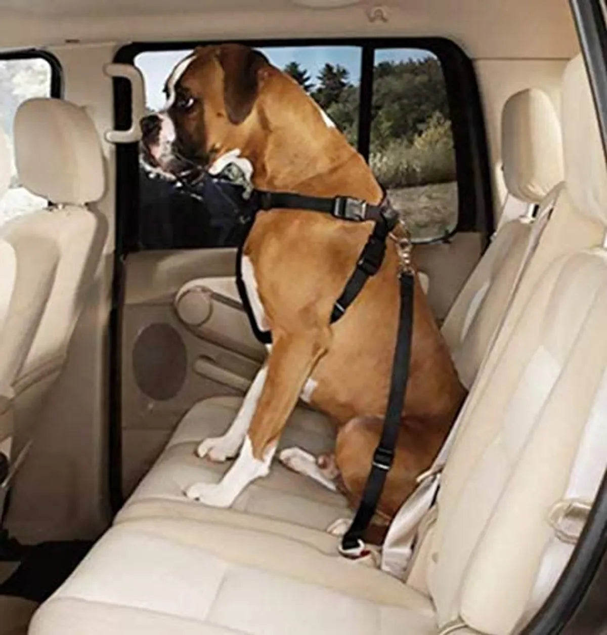  3-in-1 Dog Car Seat Belt, Short Leash & Pet Harness | Adjustable, Safe Petspalz