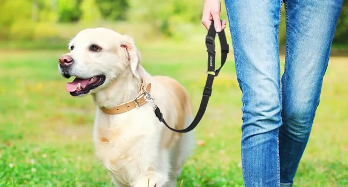  3-in-1 Dog Car Seat Belt, Short Leash & Pet Harness | Adjustable, Safe Petspalz