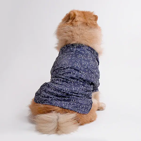 Chow Chow dog wearing a navy printed shirt with white paw and bone patterns design from the latest collection of printed shirts for dogs. Stylish pet apparel for summer fashion.