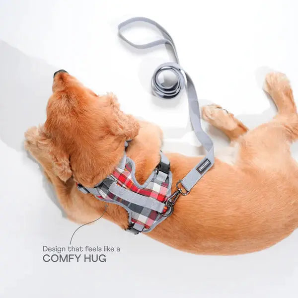 Heavy-duty harness kit for maximum comfort and zero choking - Petspalz