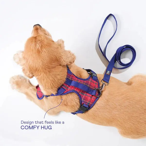 Heavy-duty harness kit for maximum comfort and zero choking - Petspalz