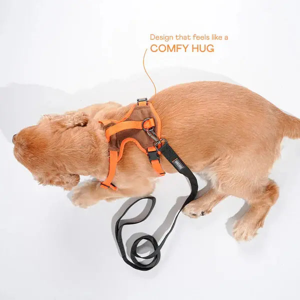 Heavy-duty harness kit for maximum comfort and zero choking - Petspalz