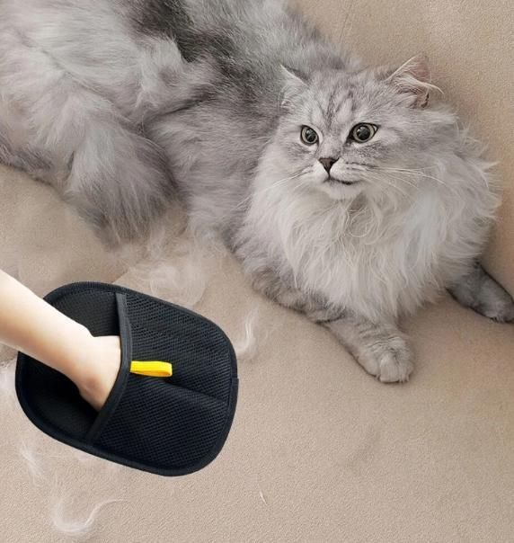 Petspalz