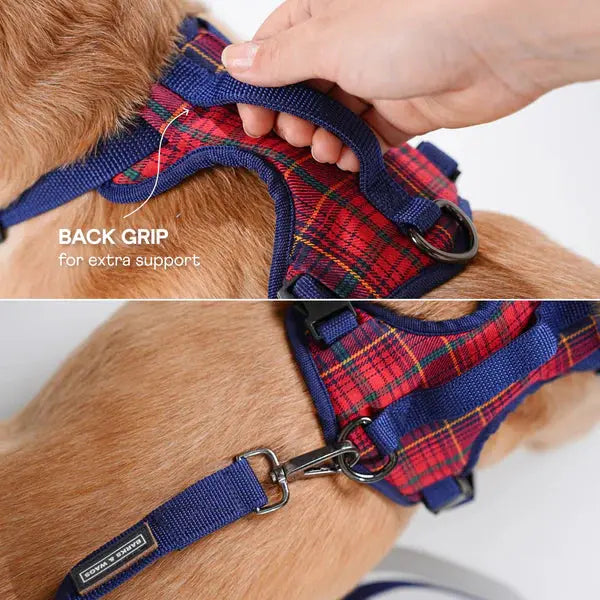 Heavy-duty harness kit for maximum comfort and zero choking - Petspalz