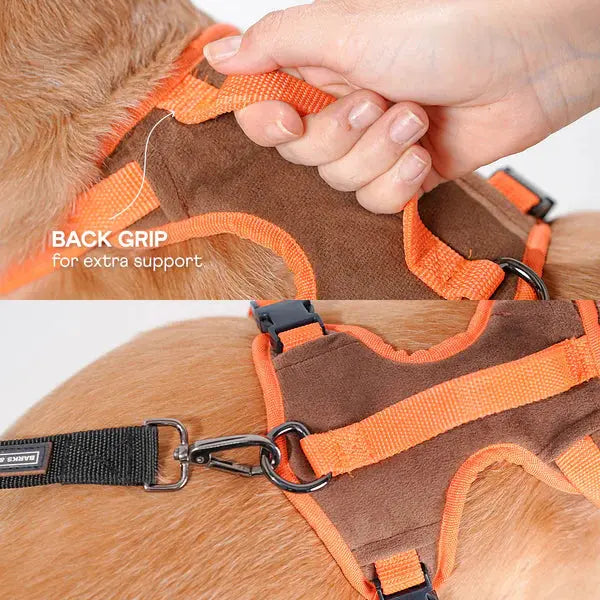 Heavy-duty harness kit for maximum comfort and zero choking - Petspalz