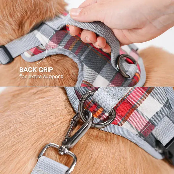 Heavy-duty harness kit for maximum comfort and zero choking - Petspalz