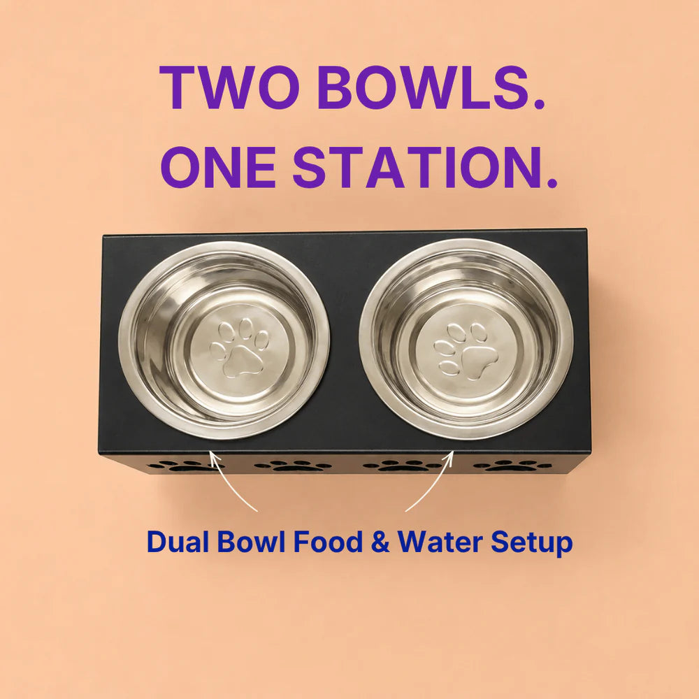 Mini Elevated Feeding Stand for Dogs & Cats | Stainless Steel Double Bowl