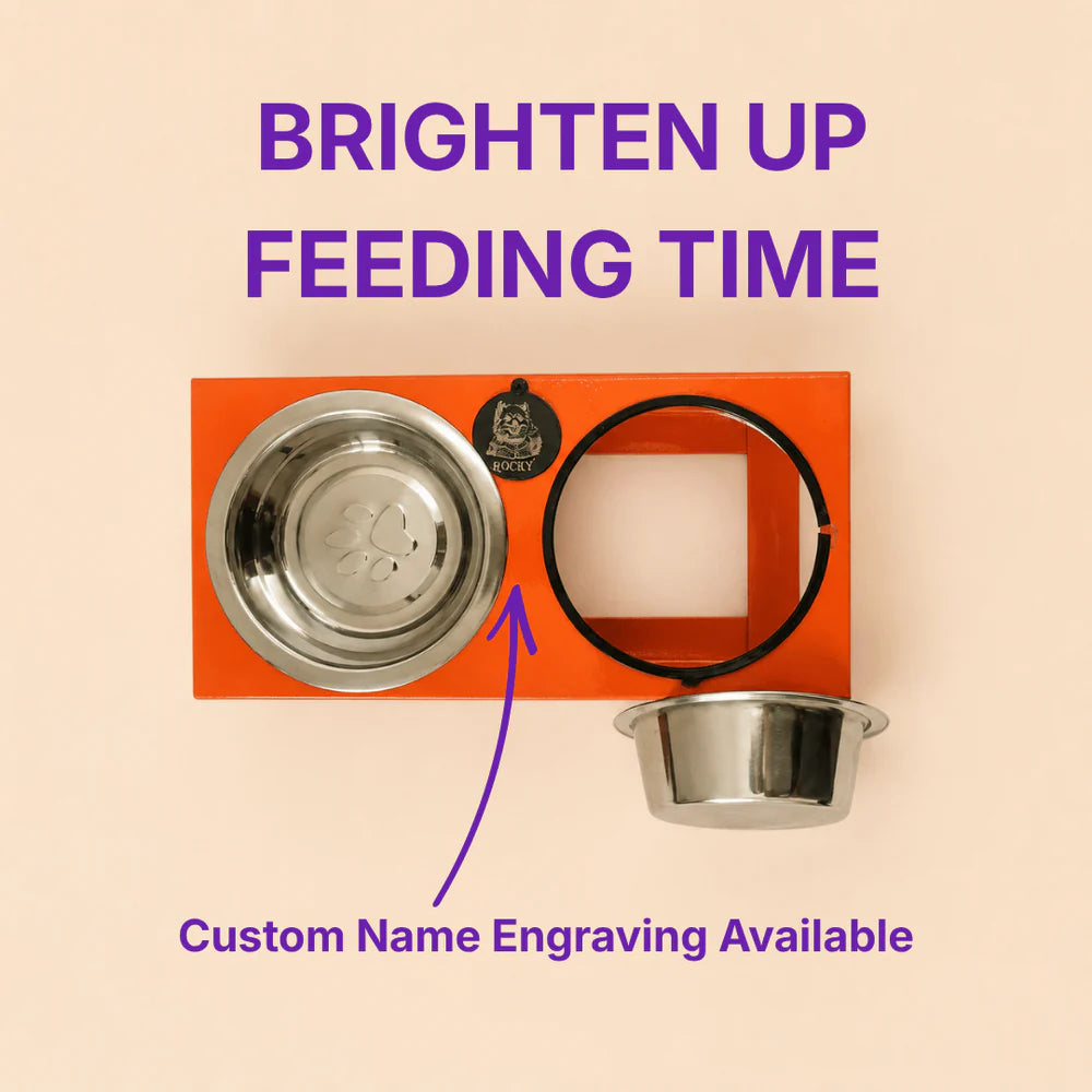 Mini Elevated Feeding Stand for Dogs & Cats | Stainless Steel Double Bowl