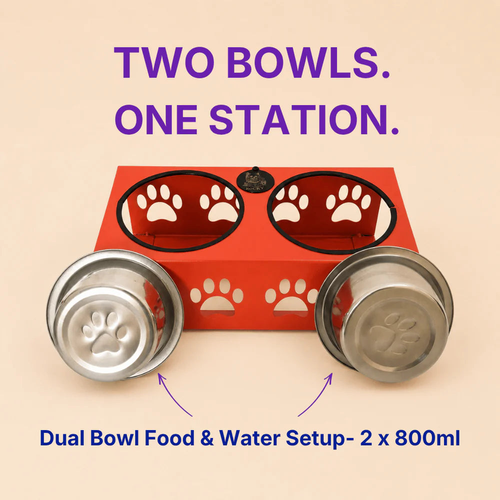 Mini Elevated Feeding Stand for Dogs & Cats | Stainless Steel Double Bowl