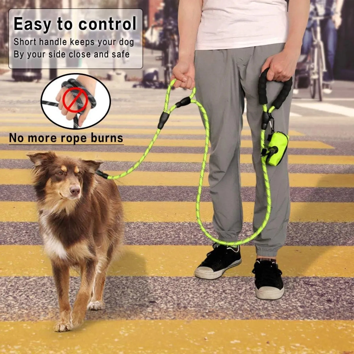  Black 5Ft Strong Dog Leash – Padded Handle & Reflective Threads Petspalz