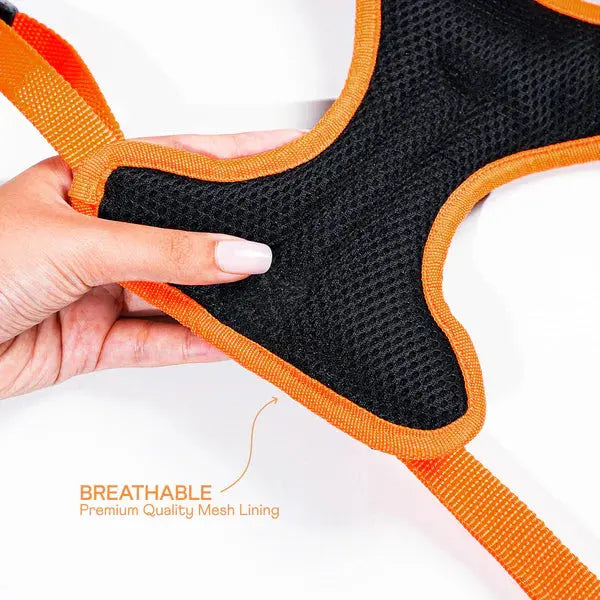Heavy-duty harness kit for maximum comfort and zero choking - Petspalz