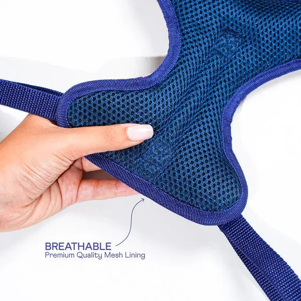 Heavy-duty harness kit for maximum comfort and zero choking - Petspalz