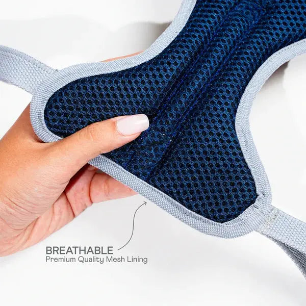 Heavy-duty harness kit for maximum comfort and zero choking - Petspalz