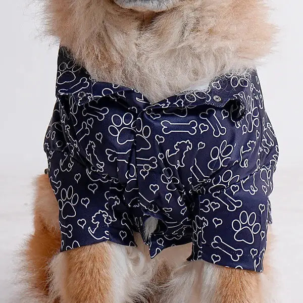Fluffy dog wearing a navy printed shirt with white paw and bone patterns from the latest collection of printed shirts for dogs. Stylish pet apparel for summer.
