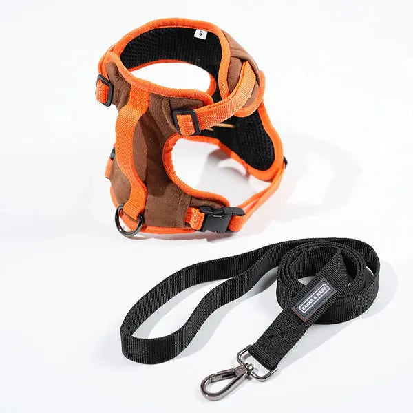 Heavy-duty harness kit for maximum comfort and zero choking - Petspalz