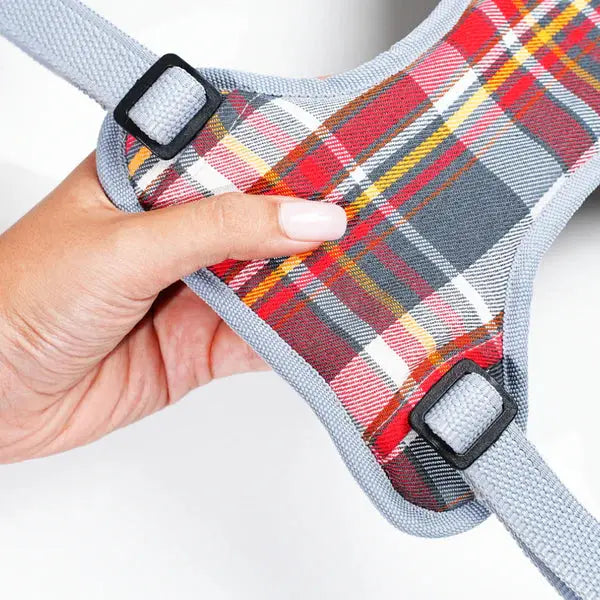 Heavy-duty harness kit for maximum comfort and zero choking - Petspalz