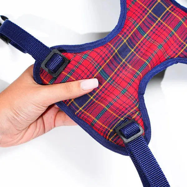 Heavy-duty harness kit for maximum comfort and zero choking - Petspalz